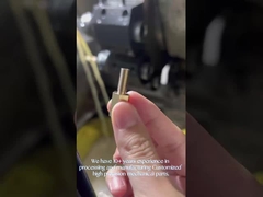 Servizio di lavorazione di parti CNC per pompe di nylon