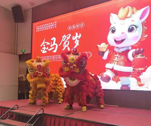 Ultimi blog aziendali su Shenzhen Hongsinn Precision Co., Ltd. Ospita con Successo il suo Gala Annuale 2025